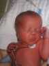 [evan_newborn.jpg (17 Kb)]